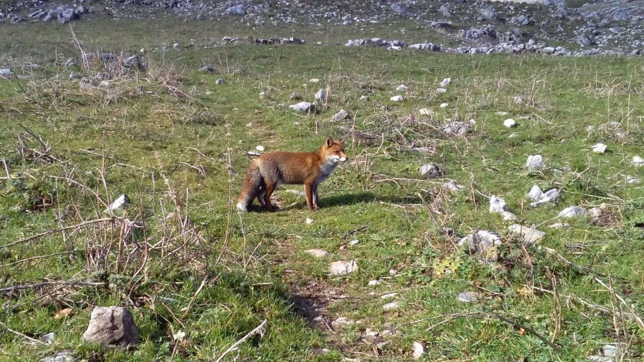Natour L'Ostello Per I Camminatori Barisciano Exteriör bild